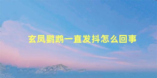 玄凤鹦鹉一直发抖怎么回事