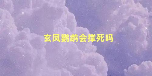 玄凤鹦鹉会撑死吗