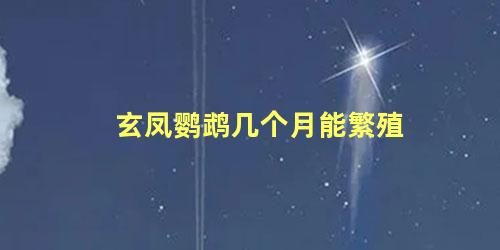 玄凤鹦鹉几个月能繁殖