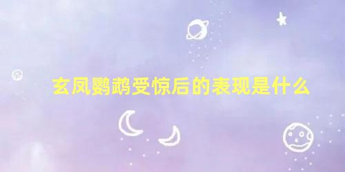 玄凤鹦鹉受惊后的表现是什么