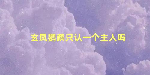 玄凤鹦鹉只认一个主人吗