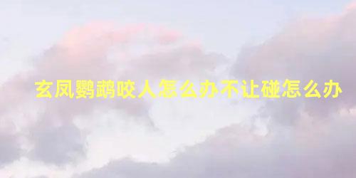 玄凤鹦鹉咬人怎么办不让碰怎么办
