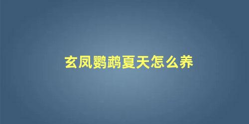 玄凤鹦鹉夏天怎么养