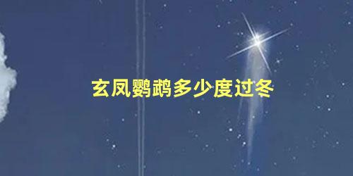玄凤鹦鹉多少度过冬