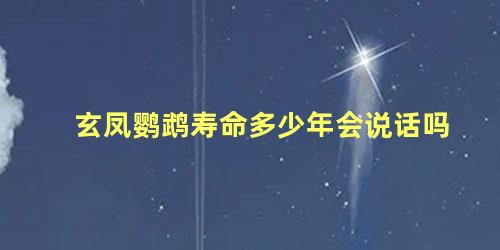 玄凤鹦鹉寿命多少年会说话吗