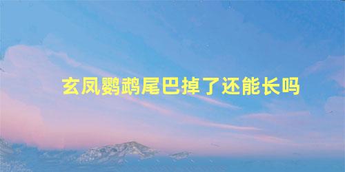 玄凤鹦鹉尾巴掉了还能长吗