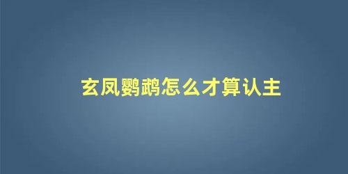 玄凤鹦鹉怎么才算认主