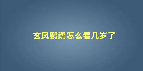 玄凤鹦鹉怎么看几岁了