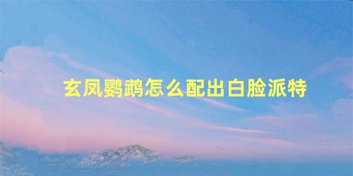 玄凤鹦鹉怎么配出白脸派特