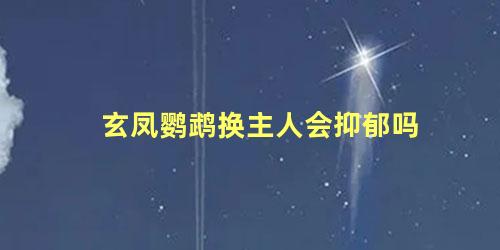 玄凤鹦鹉换主人会抑郁吗