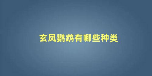 玄凤鹦鹉有哪些种类
