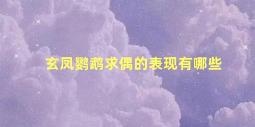 玄凤鹦鹉求偶的表现有哪些