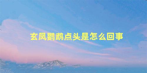 玄凤鹦鹉点头是怎么回事