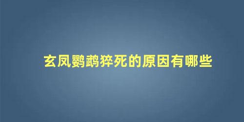 玄凤鹦鹉猝死的原因有哪些
