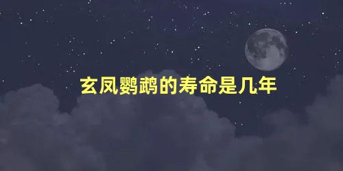 玄凤鹦鹉的寿命是几年
