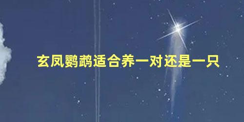 玄凤鹦鹉适合养一对还是一只