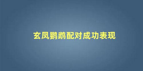 玄凤鹦鹉配对成功表现