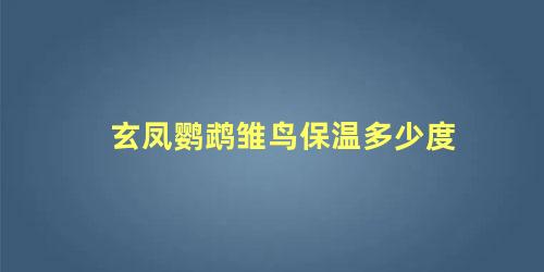玄凤鹦鹉雏鸟保温多少度