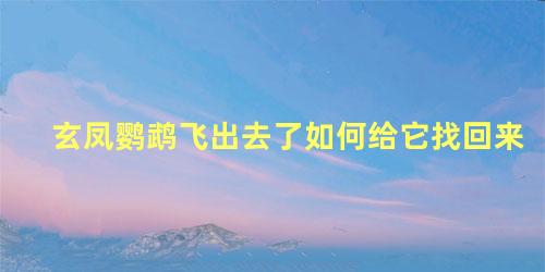 玄凤鹦鹉飞出去了如何给它找回来