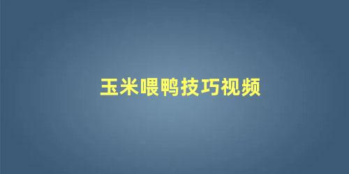 玉米喂鸭技巧视频