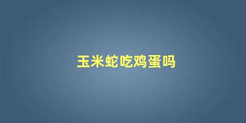 玉米蛇吃鸡蛋吗