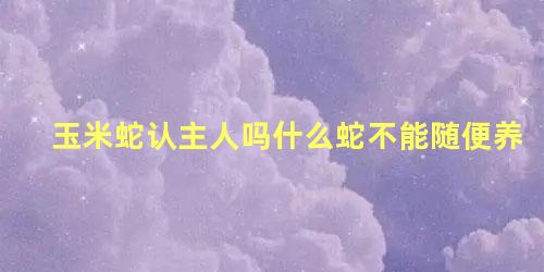 玉米蛇认主人吗什么蛇不能随便养
