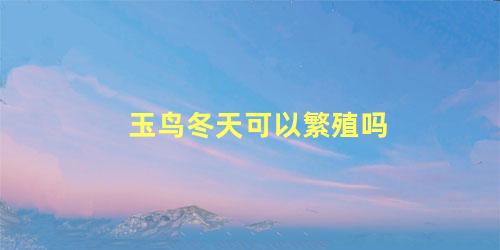 玉鸟冬天可以繁殖吗