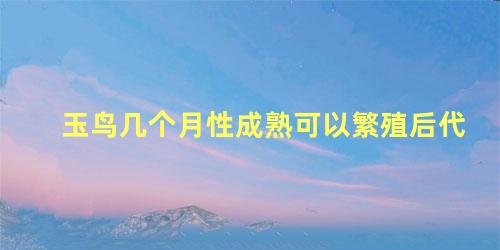 玉鸟几个月性成熟可以繁殖后代