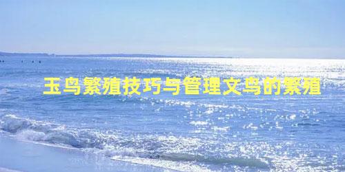 玉鸟繁殖技巧与管理文鸟的繁殖