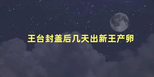 王台封盖后几天出新王产卵