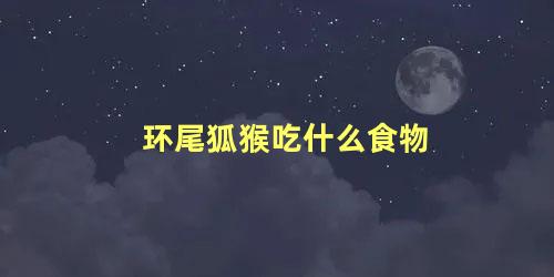 环尾狐猴吃什么食物