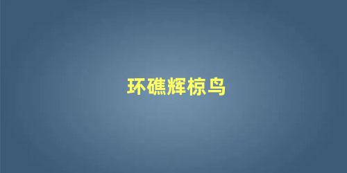 环礁辉椋鸟