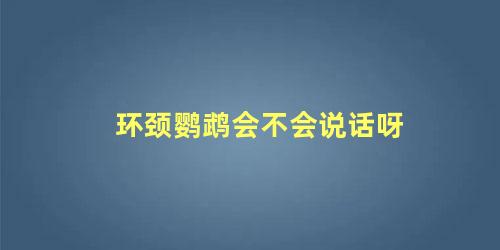 环颈鹦鹉会不会说话呀