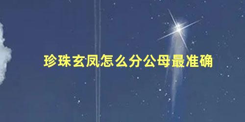 珍珠玄凤怎么分公母最准确