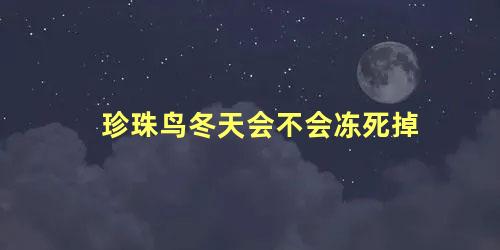 珍珠鸟冬天会不会冻死掉