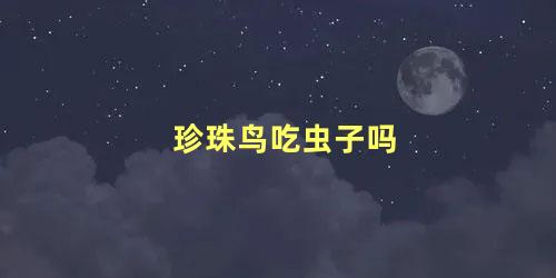 珍珠鸟吃虫子吗
