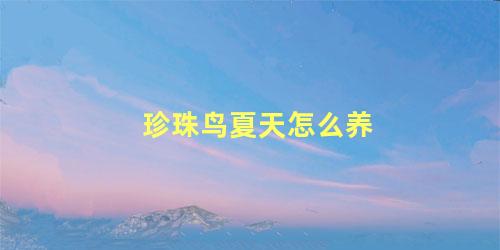 珍珠鸟夏天怎么养