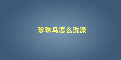 珍珠鸟怎么洗澡