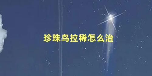 珍珠鸟拉稀怎么治