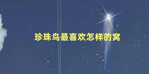 珍珠鸟最喜欢怎样的窝