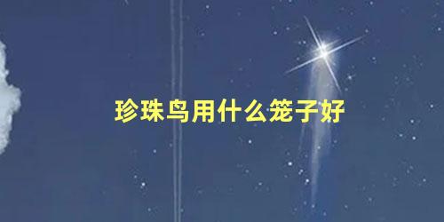 珍珠鸟用什么笼子好