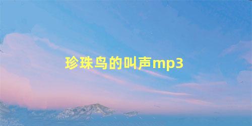 珍珠鸟的叫声mp3