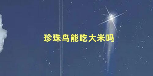 珍珠鸟能吃大米吗