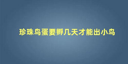 珍珠鸟蛋要孵几天才能出小鸟