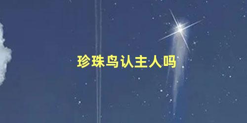 珍珠鸟认主人吗