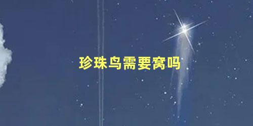 珍珠鸟需要窝吗