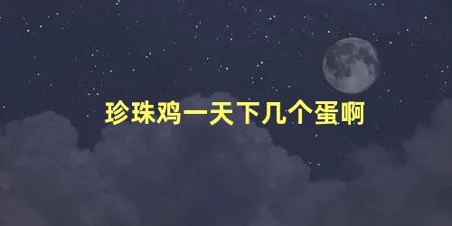 珍珠鸡一天下几个蛋啊