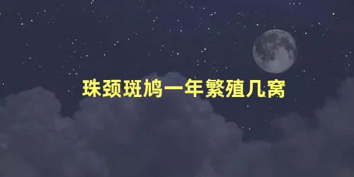 珠颈斑鸠一年繁殖几窝