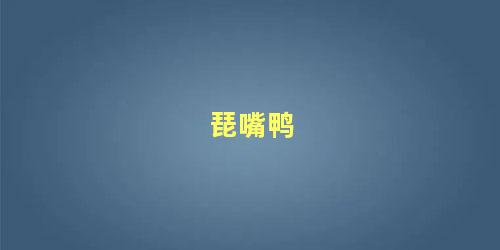 琵嘴鸭