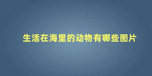 生活在海里的动物有哪些图片